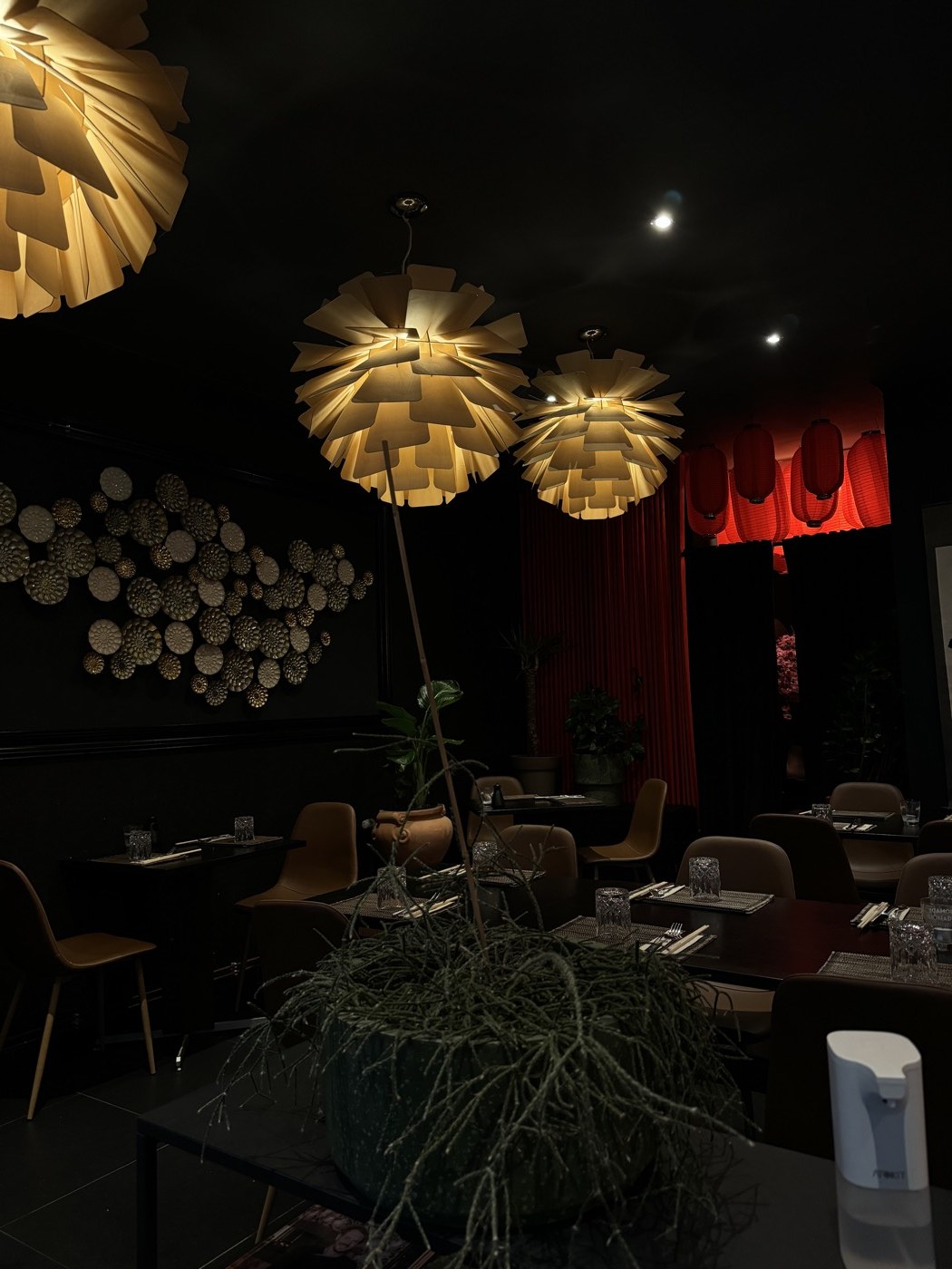 Insider Date Location bei BOME Wildeshausen